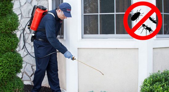 Karakeçili Dezenfeksiyon böcek ilaçlama ve haşere kontrolü — ilaclama-tr.com